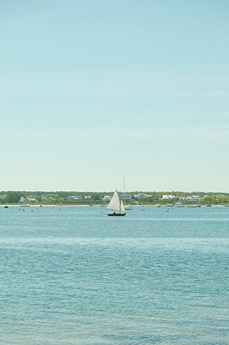 Sailing Océan reproduction