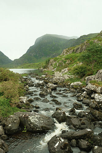 Ireland Stream Montagne reproduction
