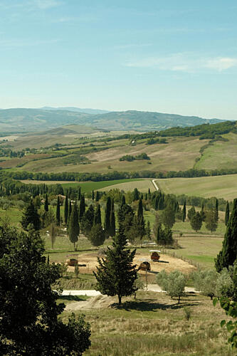 Tuscan Landscape Campagne reproduction