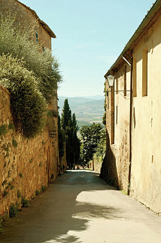 A Walkthrough Tuscany Art Print by Alicia Stanhouse Pyatt