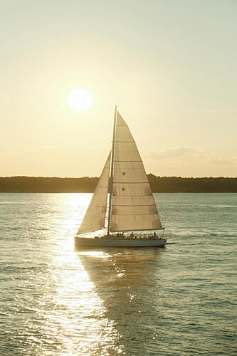 Golden Sail Doré reproduction