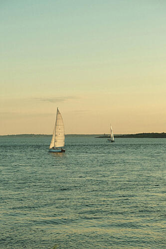 Open Water Océan reproduction