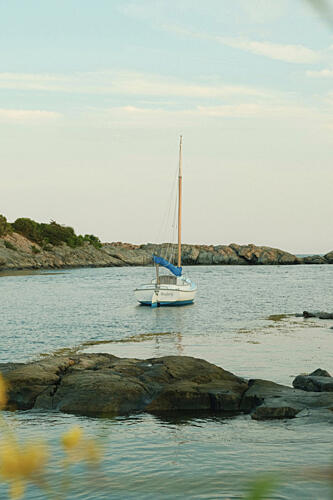 Harbor Evening Océan reproduction