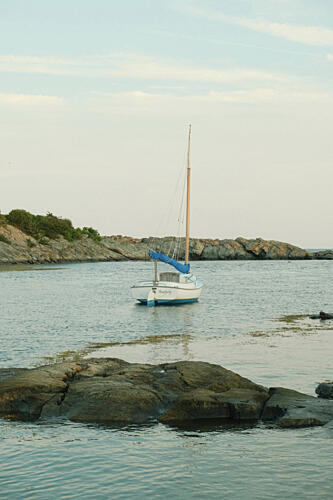 Anchored Art Print by Alicia Stanhouse Pyatt