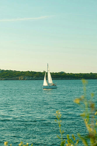 Summer Sail Océan reproduction