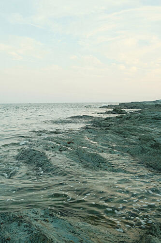 Rocky Shore Plage reproduction