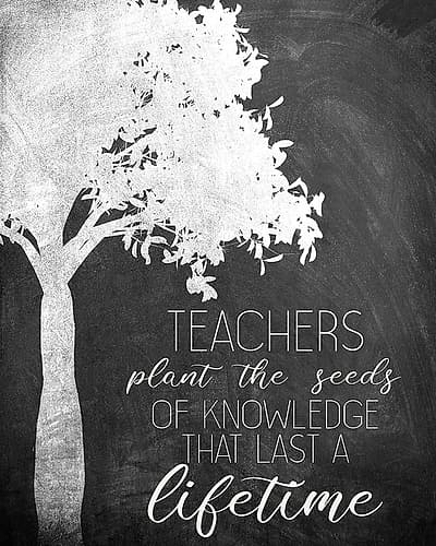 Plant the Seeds Art Print by Ann Bailey