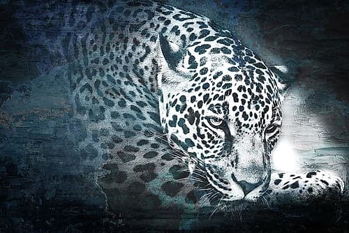 Jungle Cat Art Print by Ann Bailey