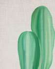 Linen Cactus 2 Botanical Print