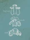 Mushroom Teal 1 Botanical Print