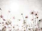 Soft Spring Art Print