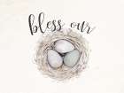 Bless Our Nest Art Print