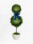 Topiaries 2 Art Print