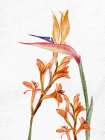 Tropic Floral 1 Art Print