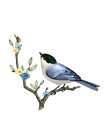 Spring Song 1 Art Print