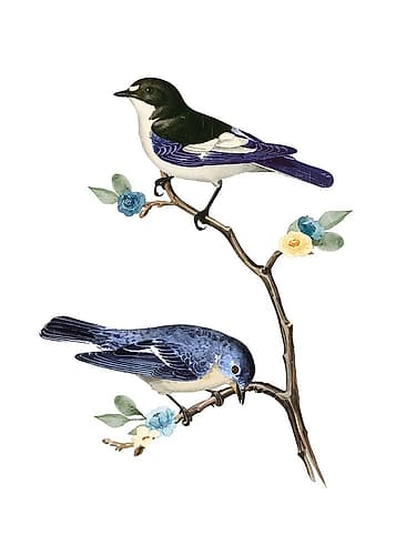 Spring Song 2 Art Print
