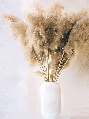 Pampass Vase Nature Print