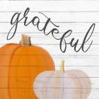 Grateful Pumpkins Art Print