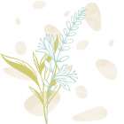 Flower Garden 2 Art Print