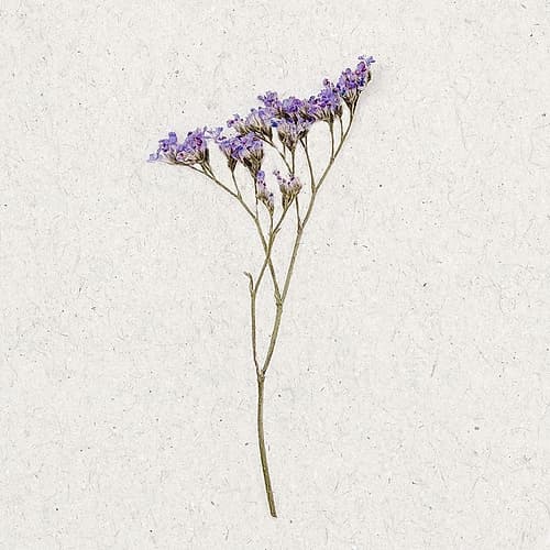 Dainty Purple 3 Art Print by Ann Bailey
