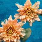 Orange Chrysanthemums Art Print