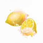 Fruit 1 Still Life Print
