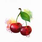 Fruit 2 Still Life Print