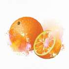 Fruit 3 Still Life Print