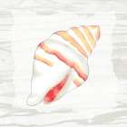 Coral Shells On Wood 2 Art Print