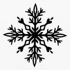 Snowflake 2 Art Print