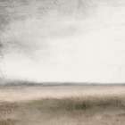 View Art Print
