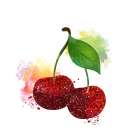 Fruit Art Print