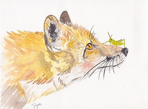Golden Fox Play Art Print