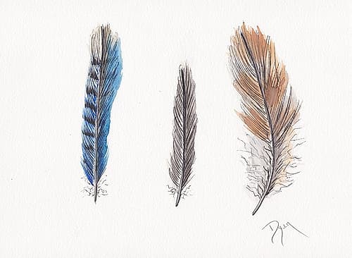 Feather Collection II Nature Print