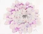 Pale Zinnia 2020 Art Print
