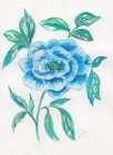 Floral Blue 1 Art Print