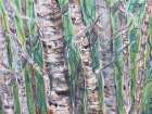 Trees Aspens Art Print