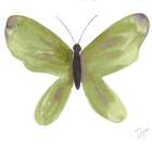 Watercolor Olivefly Art Print