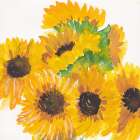 Close Sunflower Bouquet Art Print