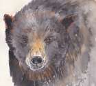 Brown Bear Art Print