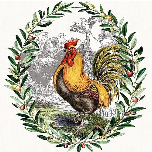 Prize Rooster 1 Art Print by Christina Rae