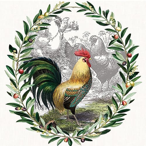 Prize Rooster 2 Art Print by Christina Rae