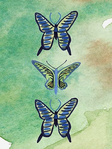 Colorful Butterflies Art Print