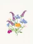 Wildflowers 1 Art Print