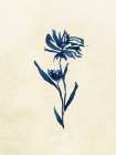 Midnight Botanical 4 Minimalist Print