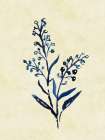 Midnight Botanical 7 Art Print