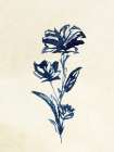 Midnight Floral 2 Art Print