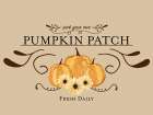 Pumpkin Patch Art Print