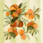 Peaches Kitchen Print