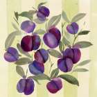 Plums Art Print